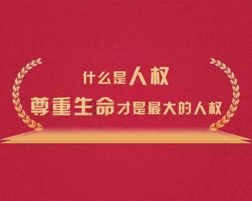 悲伤兔大冒险